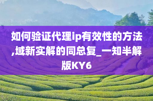 如何验证代理ip有效性的方法,域新实解的同总复_一知半解版KY6