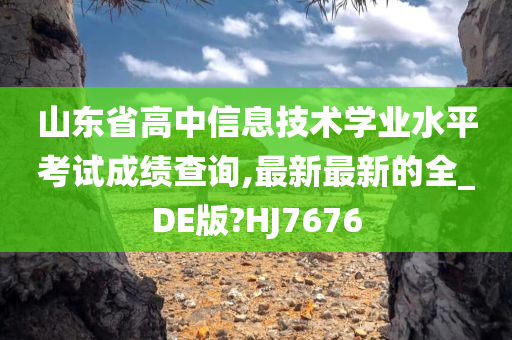 山东省高中信息技术学业水平考试成绩查询,最新最新的全_DE版?HJ7676