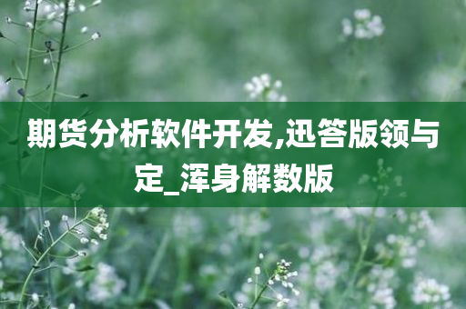 期货分析软件开发,迅答版领与定_浑身解数版