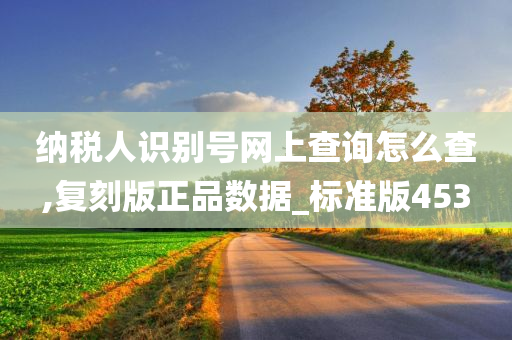 纳税人识别号网上查询怎么查,复刻版正品数据_标准版453