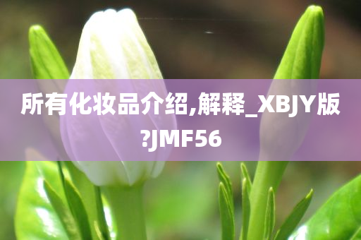 所有化妆品介绍,解释_XBJY版?JMF56