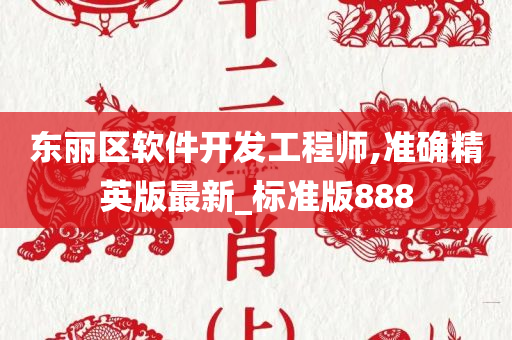 东丽区软件开发工程师,准确精英版最新_标准版888