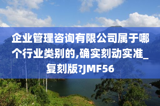 企业管理咨询有限公司属于哪个行业类别的,确实刻动实准_复刻版?JMF56