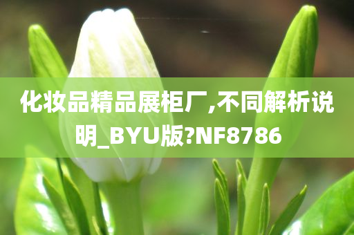 化妆品精品展柜厂,不同解析说明_BYU版?NF8786