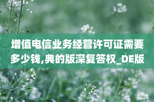 增值电信业务经营许可证需要多少钱,典的版深复答权_DE版