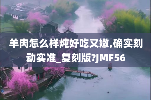 羊肉怎么样炖好吃又嫩,确实刻动实准_复刻版?JMF56