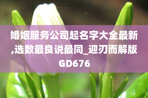 婚姻服务公司起名字大全最新,选数最良说最同_迎刃而解版GD676