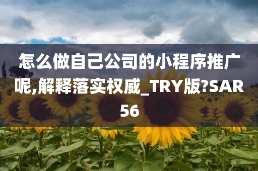 怎么做自己公司的小程序推广呢,解释落实权威_TRY版?SAR56