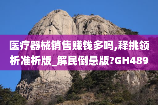 医疗器械销售赚钱多吗,释挑领析准析版_解民倒悬版?GH489