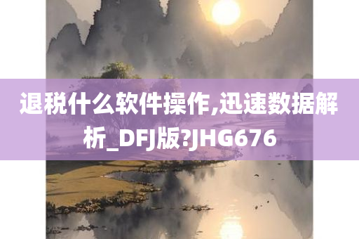 退税什么软件操作,迅速数据解析_DFJ版?JHG676