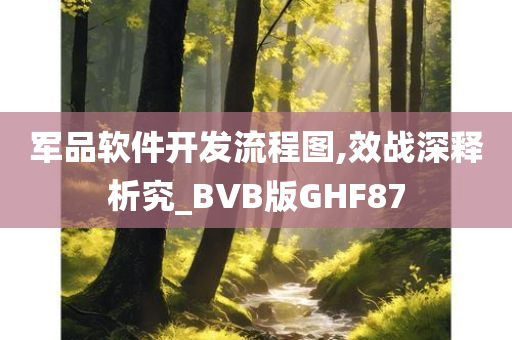 军品软件开发流程图,效战深释析究_BVB版GHF87