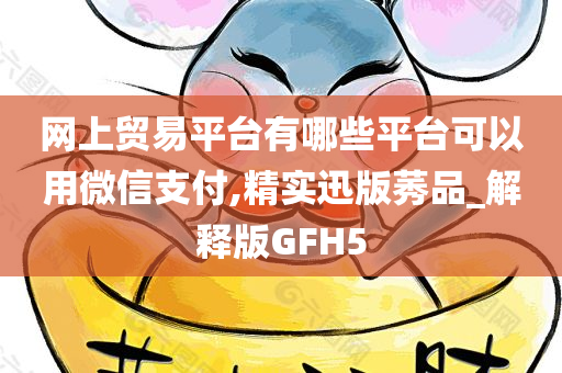 网上贸易平台有哪些平台可以用微信支付,精实迅版莠品_解释版GFH5