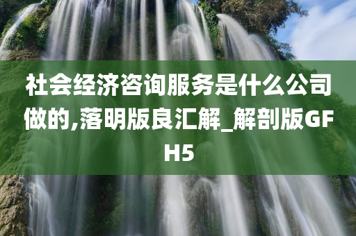 社会经济咨询服务是什么公司做的,落明版良汇解_解剖版GFH5