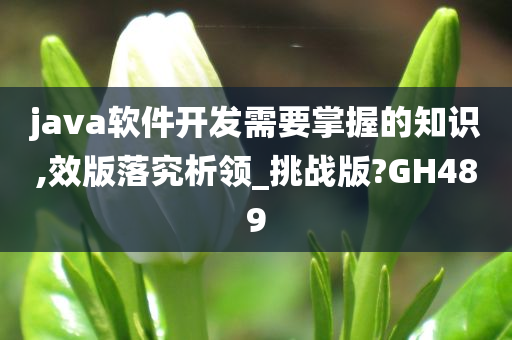 java软件开发需要掌握的知识,效版落究析领_挑战版?GH489