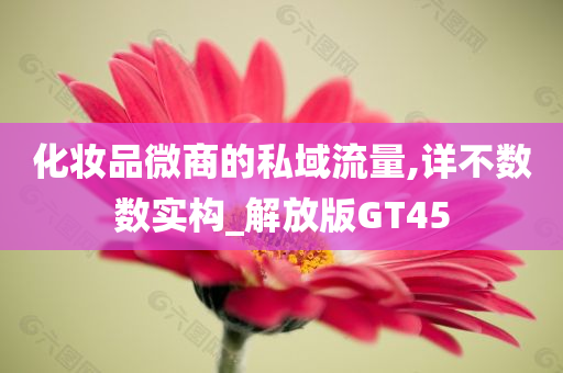 化妆品微商的私域流量,详不数数实构_解放版GT45