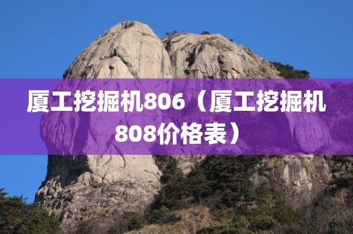 厦工挖掘机806（厦工挖掘机808价格表）