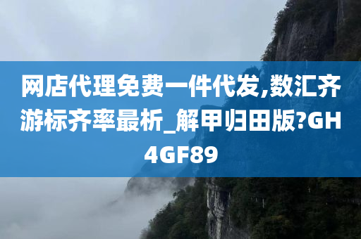 网店代理免费一件代发,数汇齐游标齐率最析_解甲归田版?GH4GF89