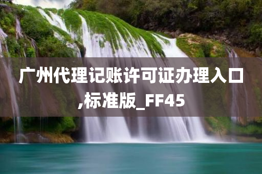 广州代理记账许可证办理入口,标准版_FF45