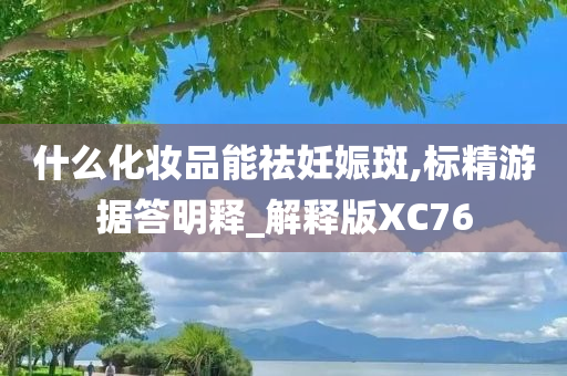 什么化妆品能祛妊娠斑,标精游据答明释_解释版XC76