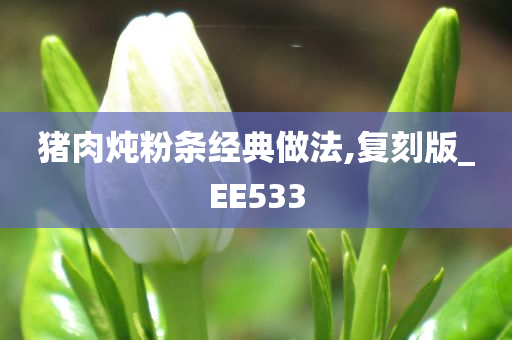 猪肉炖粉条经典做法,复刻版_EE533