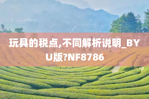 玩具的税点,不同解析说明_BYU版?NF8786