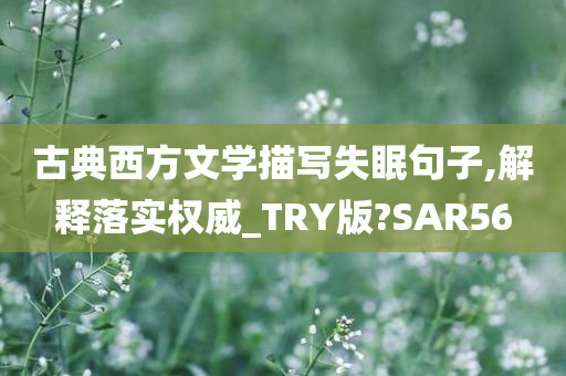 古典西方文学描写失眠句子,解释落实权威_TRY版?SAR56