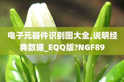 电子元器件识别图大全,说明经典数据_EQQ版?NGF89