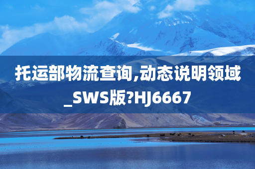 托运部物流查询,动态说明领域_SWS版?HJ6667