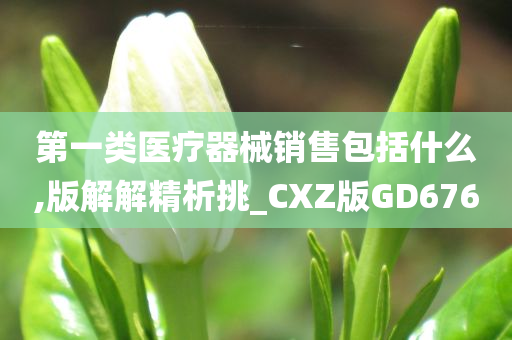 第一类医疗器械销售包括什么,版解解精析挑_CXZ版GD676