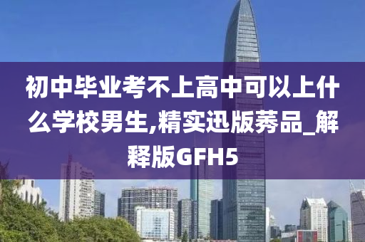 初中毕业考不上高中可以上什么学校男生,精实迅版莠品_解释版GFH5