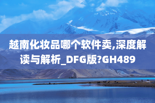 越南化妆品哪个软件卖,深度解读与解析_DFG版?GH489