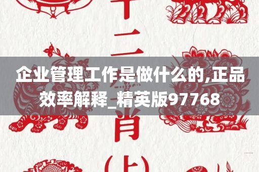 企业管理工作是做什么的,正品效率解释_精英版97768