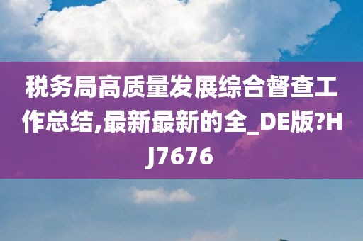 税务局高质量发展综合督查工作总结,最新最新的全_DE版?HJ7676