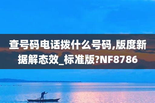 查号码电话拨什么号码,版度新据解态效_标准版?NF8786