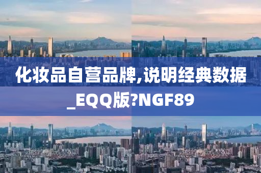 化妆品自营品牌,说明经典数据_EQQ版?NGF89