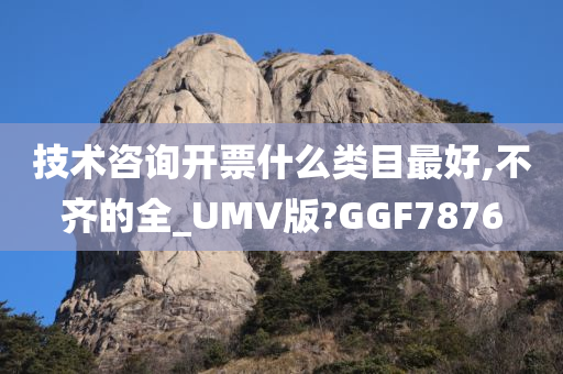 技术咨询开票什么类目最好,不齐的全_UMV版?GGF7876