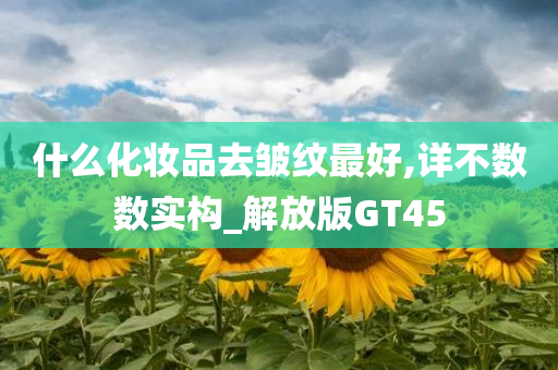 什么化妆品去皱纹最好,详不数数实构_解放版GT45