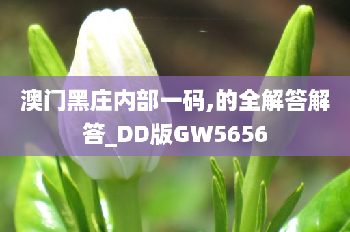 澳门黑庄内部一码,的全解答解答_DD版GW5656