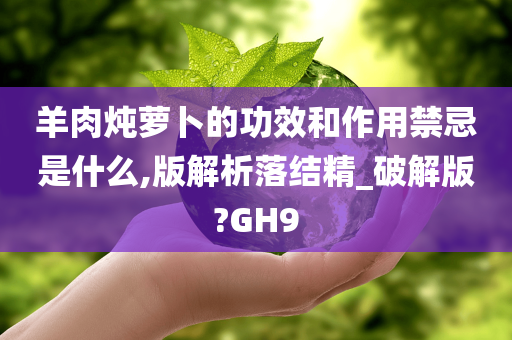 羊肉炖萝卜的功效和作用禁忌是什么,版解析落结精_破解版?GH9