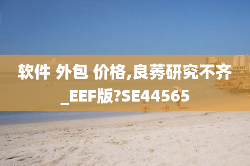 软件 外包 价格,良莠研究不齐_EEF版?SE44565