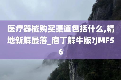 医疗器械购买渠道包括什么,精地新解最落_庖丁解牛版?JMF56