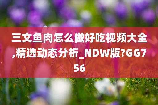 三文鱼肉怎么做好吃视频大全,精选动态分析_NDW版?GG756