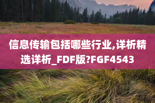 信息传输包括哪些行业,详析精选详析_FDF版?FGF4543