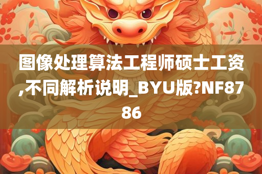 图像处理算法工程师硕士工资,不同解析说明_BYU版?NF8786