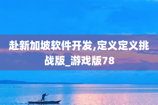 赴新加坡软件开发,定义定义挑战版_游戏版78