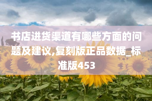 书店进货渠道有哪些方面的问题及建议,复刻版正品数据_标准版453