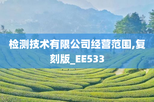 检测技术有限公司经营范围,复刻版_EE533