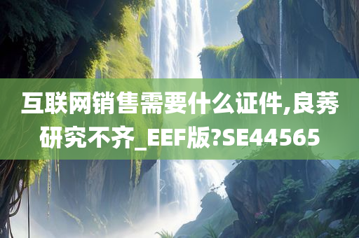 互联网销售需要什么证件,良莠研究不齐_EEF版?SE44565