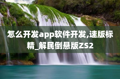 怎么开发app软件开发,速版标精_解民倒悬版ZS2