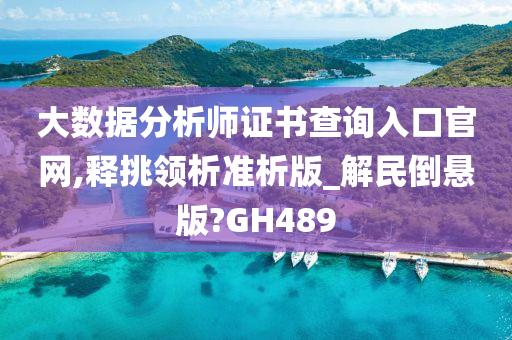 大数据分析师证书查询入口官网,释挑领析准析版_解民倒悬版?GH489